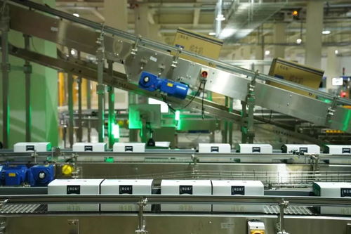 數(shù)字監(jiān)控系統(tǒng) 實(shí)現(xiàn)牛奶從牧場到包裝下線13小時高效管控